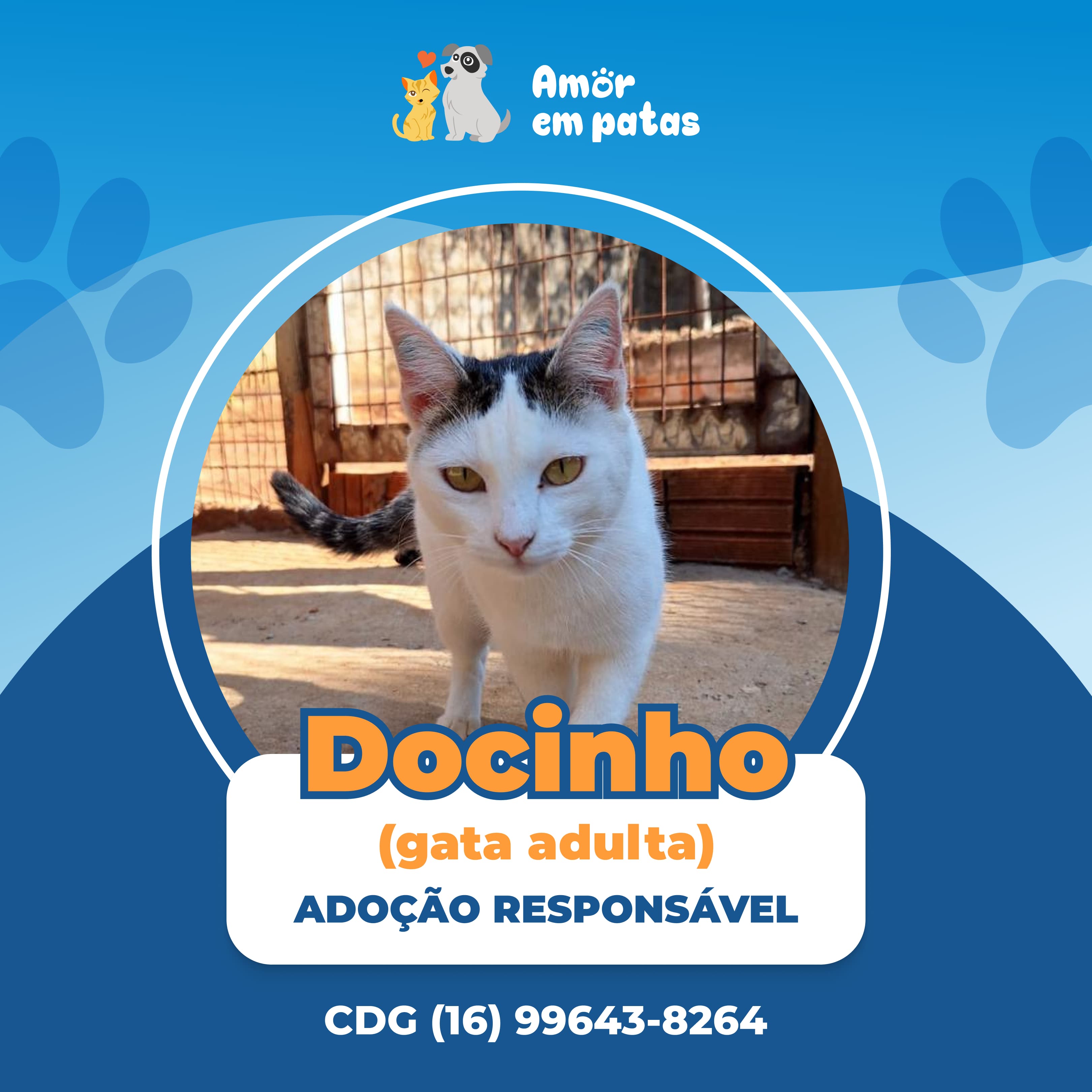 Docinho