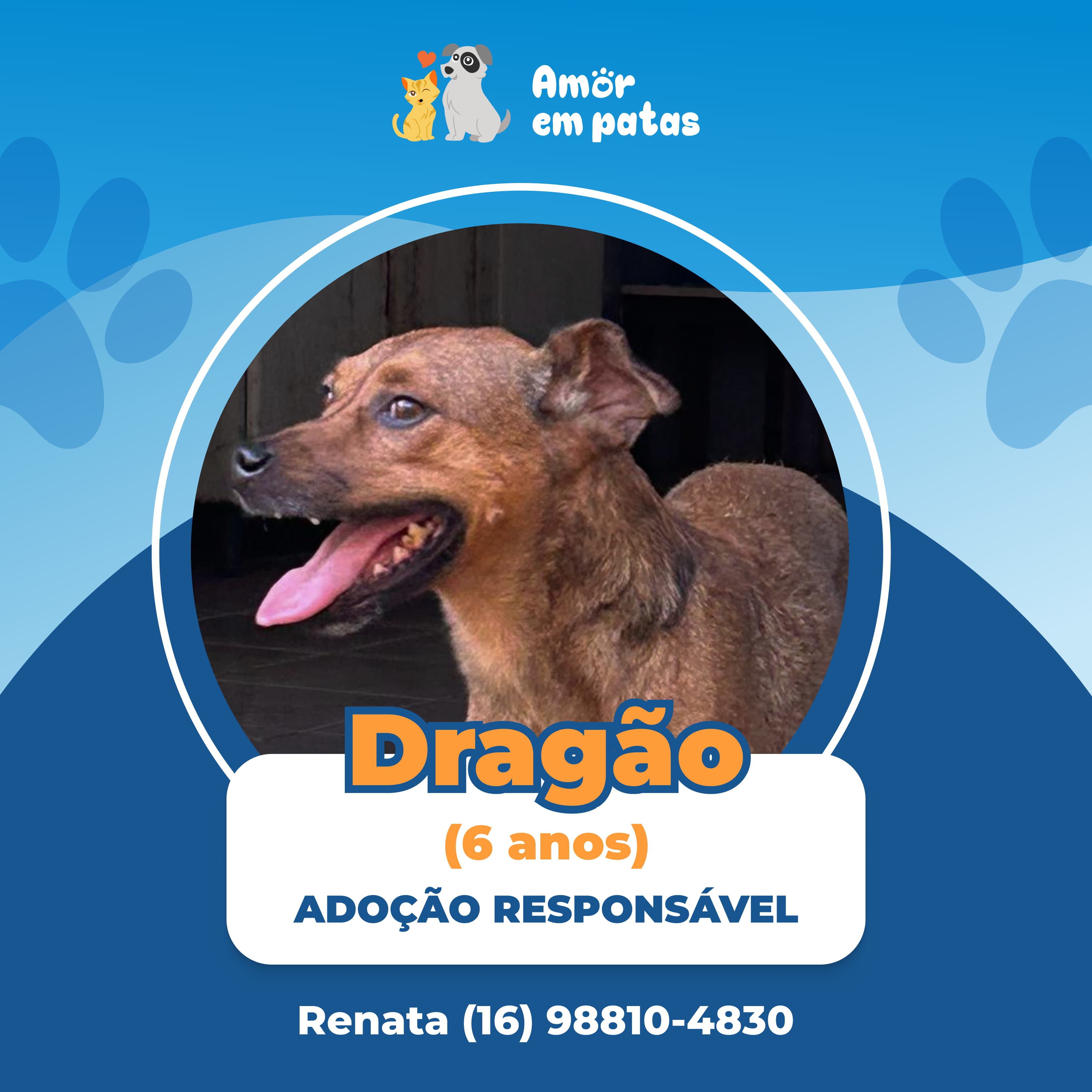 Dragão