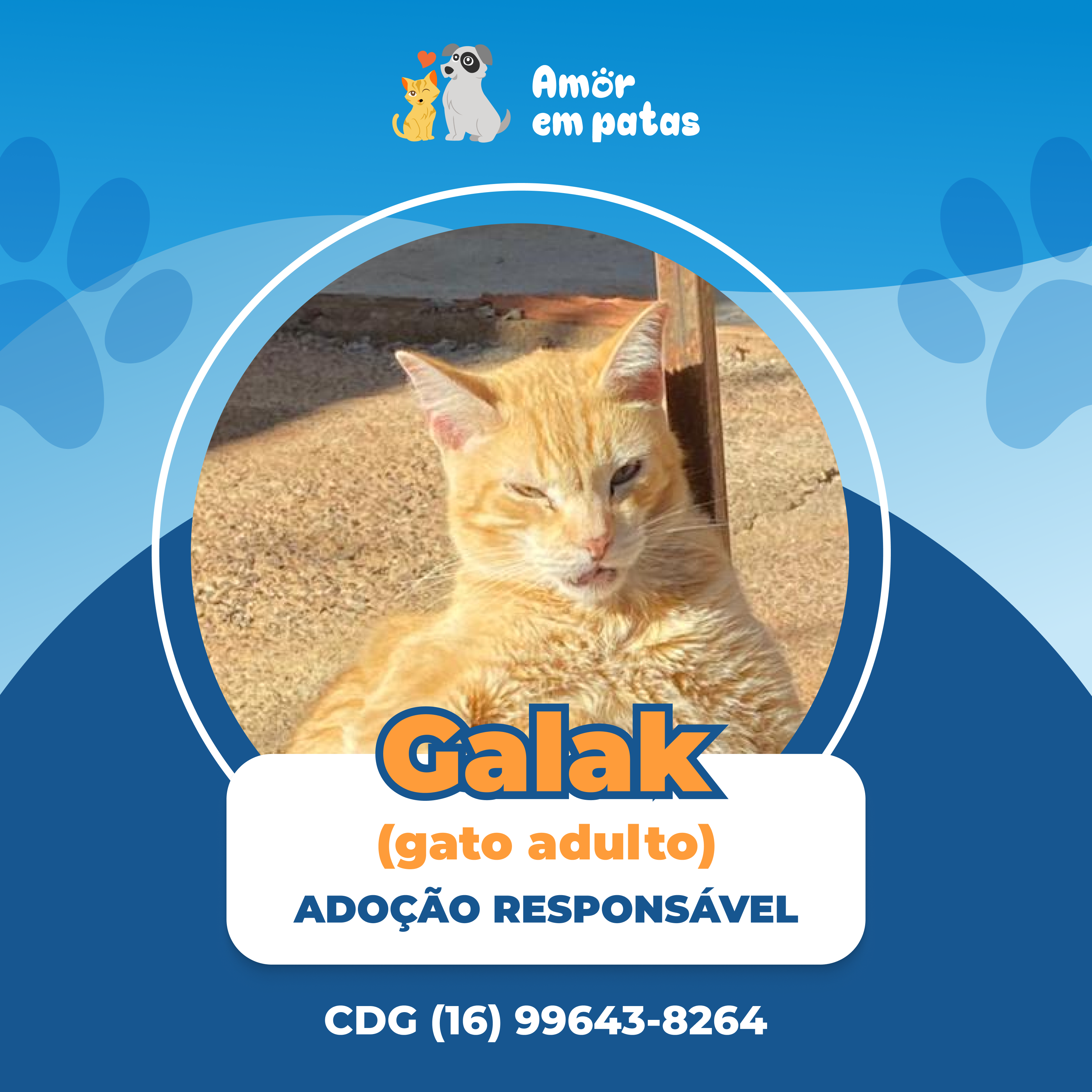 Galak