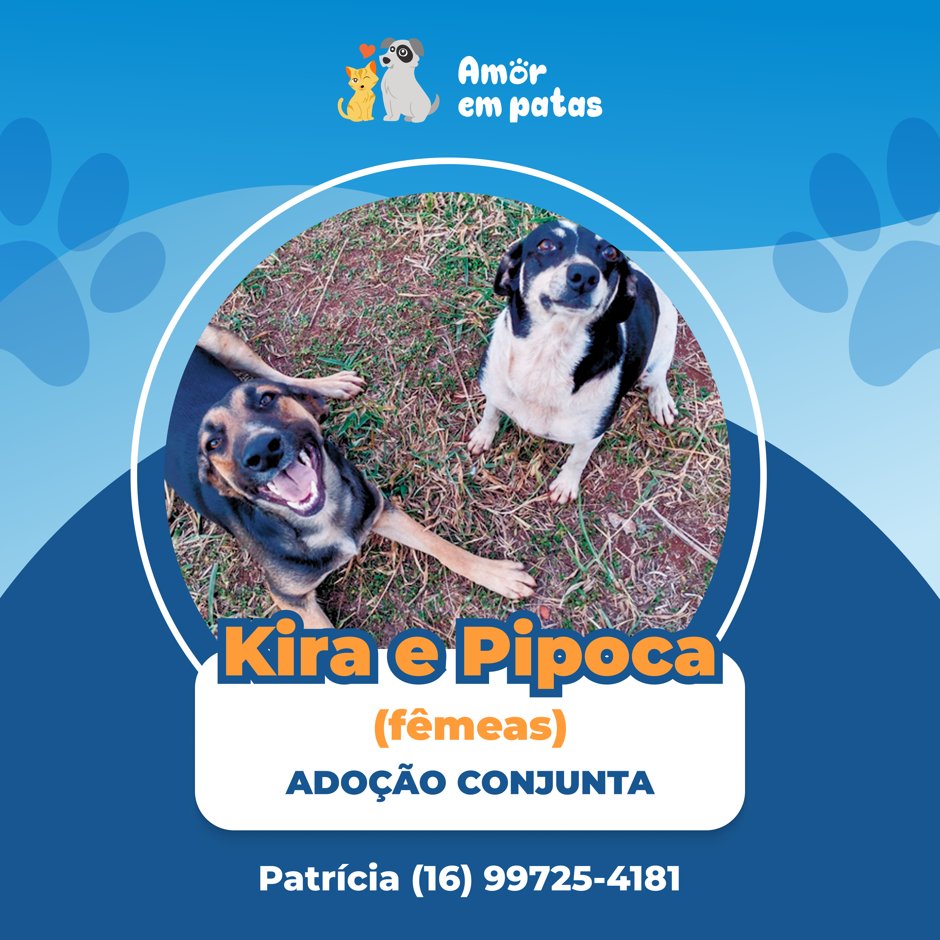 Kira e Pipoca